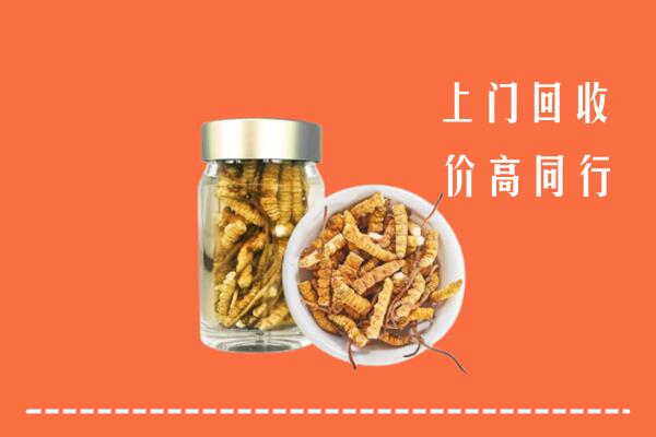 石景山区回收冬虫夏草